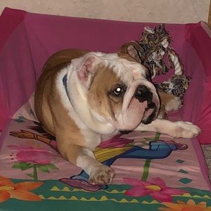 Meet your Posher, Amber